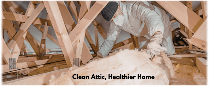 Attic Cleaning Delray Beach